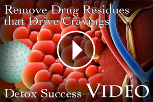 Our Detoxification Video